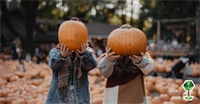 Your Guide to Pumpkin Patches Around Boise