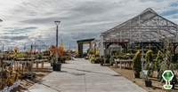 Who Says You Can't Buy Winter Plants? Franz Witte Garden Center Sells Year-Round Plants & Home Goods