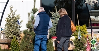 Escape the Cold and Get Festive With Franz Witte Garden Center in Nampa