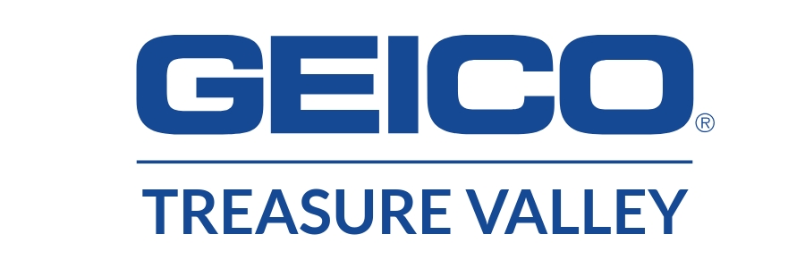 GEICO