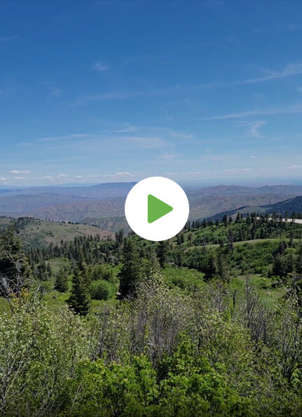 Bogus Basin | Mountain Recreation Area | Totally Boise