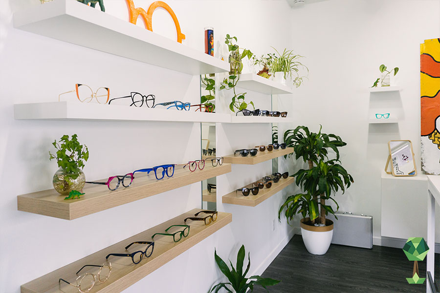 Lumos Optical: Making Eyewear Affordable for Idahoans