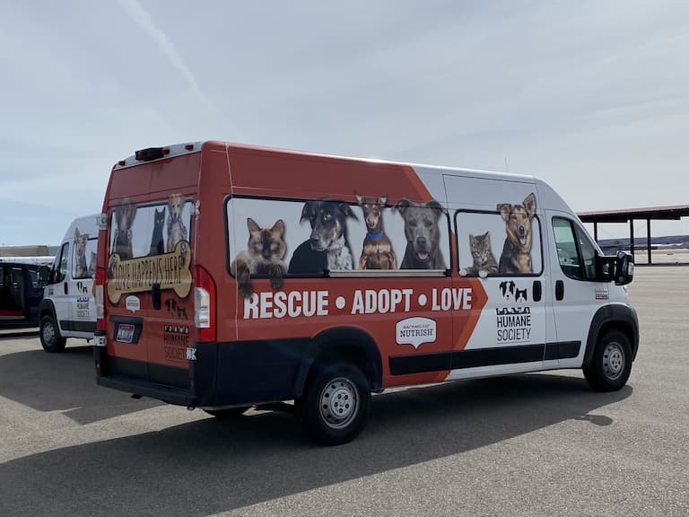 greater-good-charities-and-the-animal-rescue-site-bring-more-than-40-at