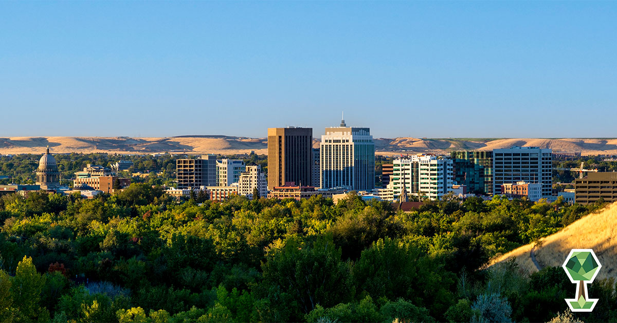 Boise’s Newest Environmental Nonprofit: Treasure Valley Canopy Network
