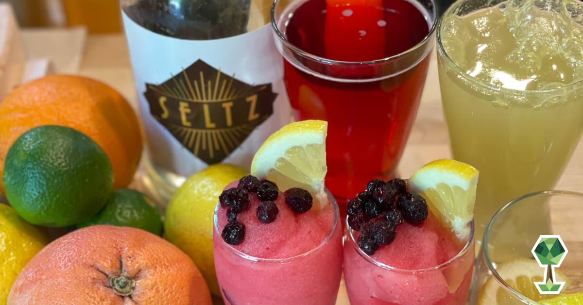 SELTZ™ Beverage is Revolutionizing The Cocktail Program For Small Local Businesses in Boise