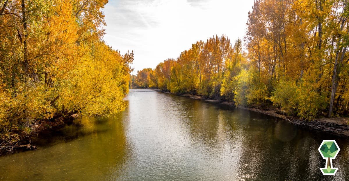 The Best Places to Visit in Idaho During Fall