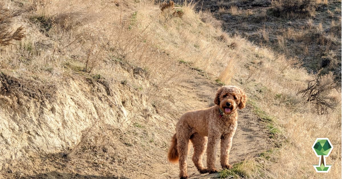Spring Hiking Trails in Boise
