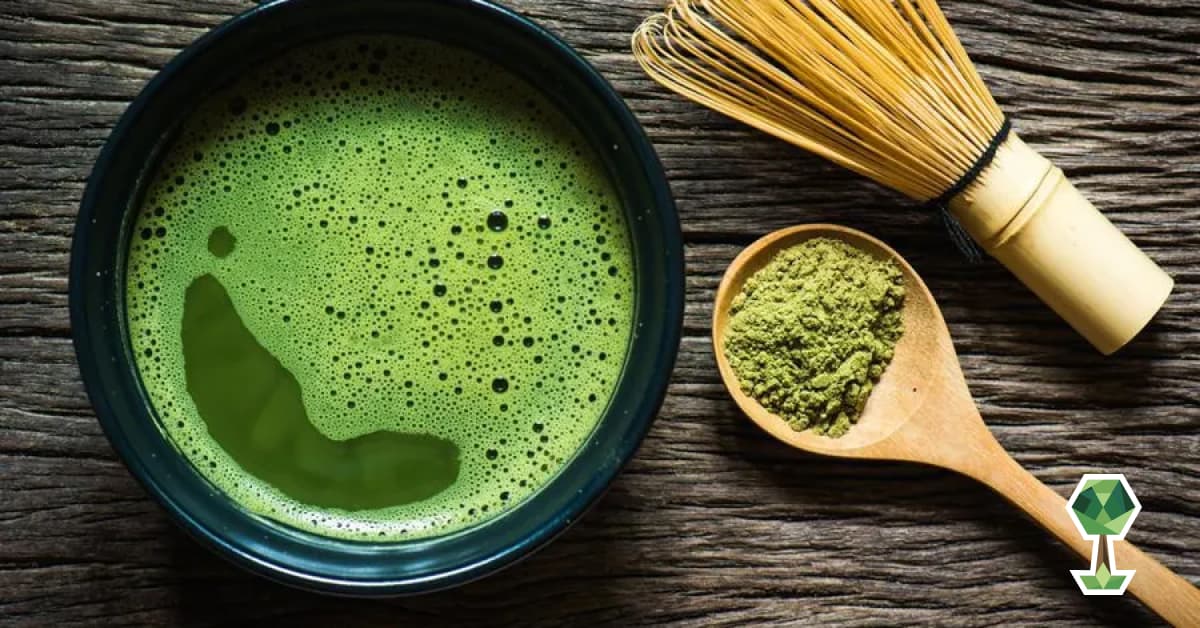 A Guide to the Best Matcha Lattes in the Treasure Valley 