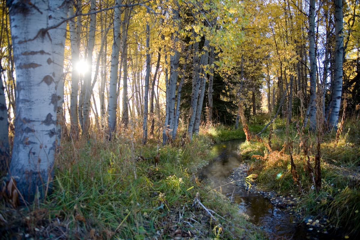 Fall at Tamarack Resort: Cozy Stays, Colorful Trails & Idaho Mountain Magic