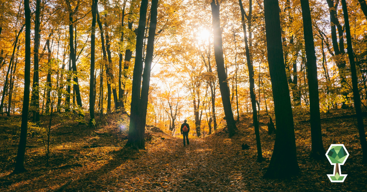 Golden Trails and Autumn Views: Your Guide to the Best Fall Hikes Around Boise