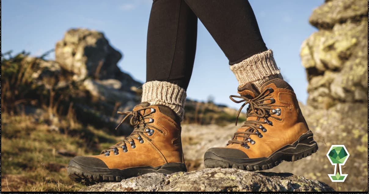 Fun Winter Activities (Even When There’s No Snow)