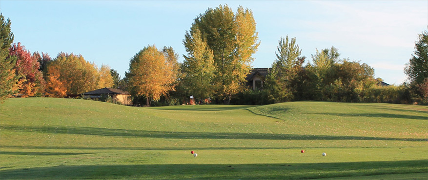 River Birch Golf Course