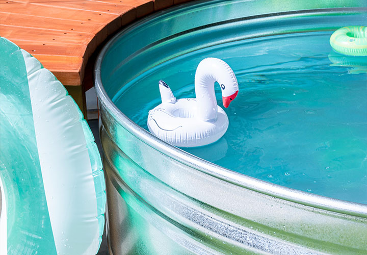 A tank of water with a swan inflatable in it