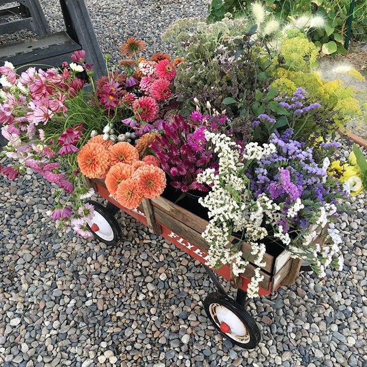 Beautiful flower arrangements in a flower cart
