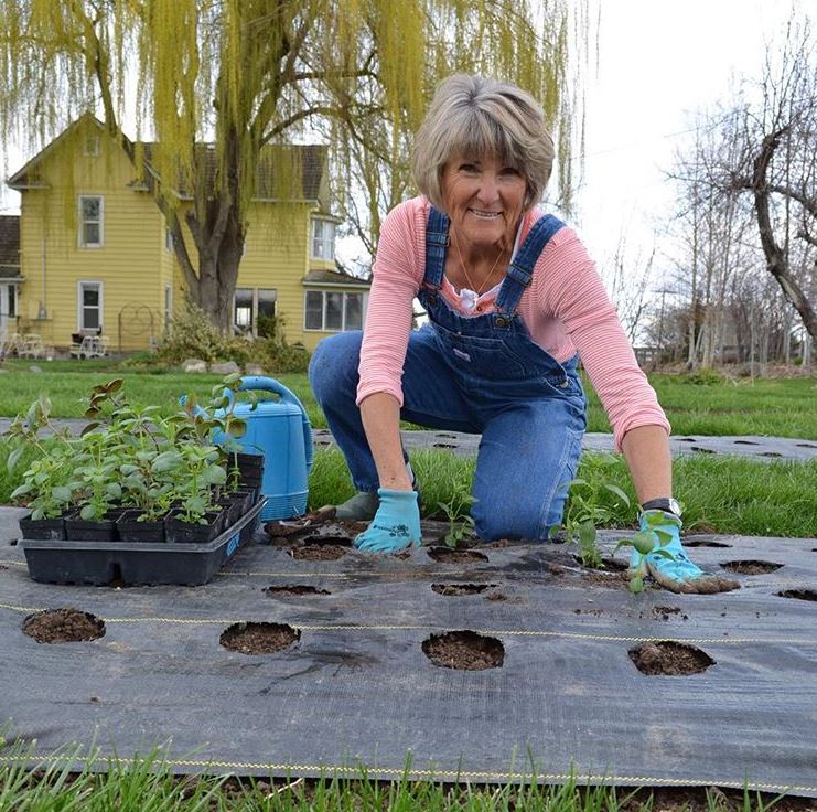 Linda planting flowers for the spring