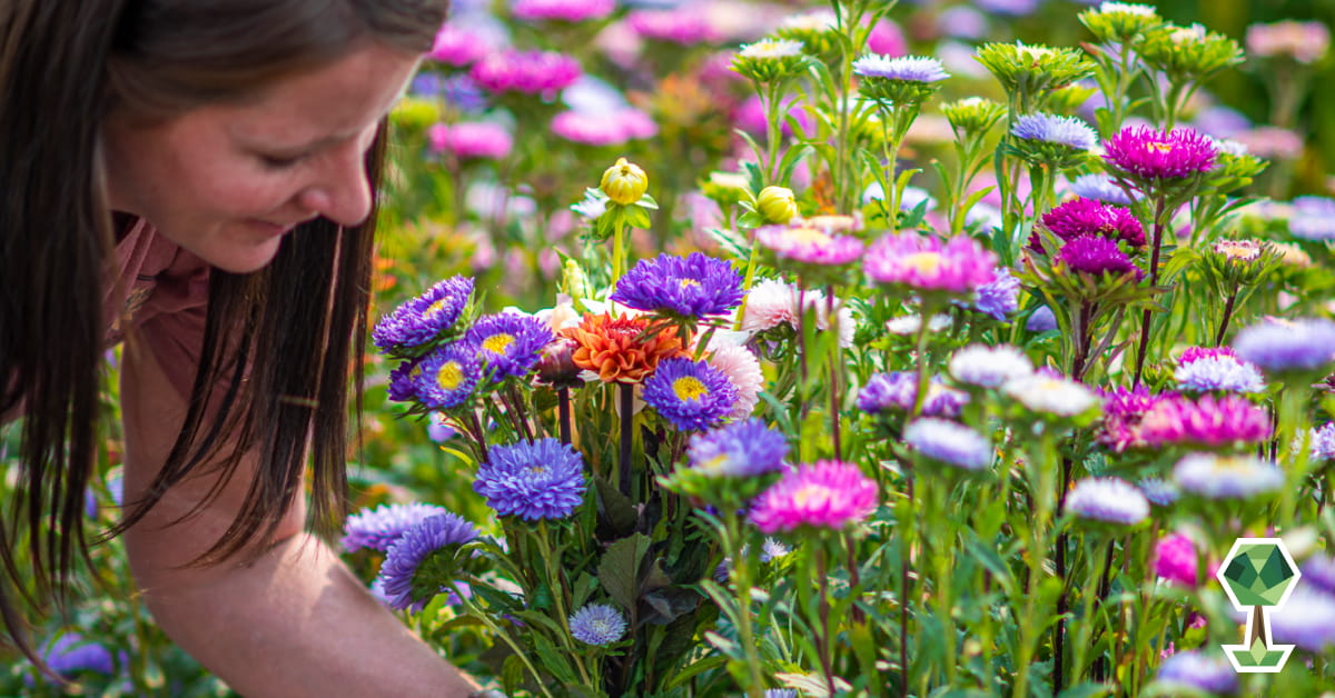 A photo of a woman in a field of flowers